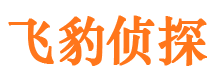 吴忠外遇出轨调查取证